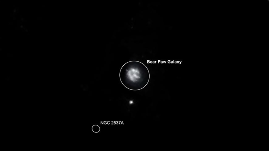  The Bear Paw Galaxy, NGC2537.  Image created with SkySafari 5 for Mac OS X, ©2010-2016 Simulation Curriculum Corp., skysafariastronomy.com.